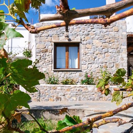Villa Maria Stavrokhorion Екстер'єр фото
