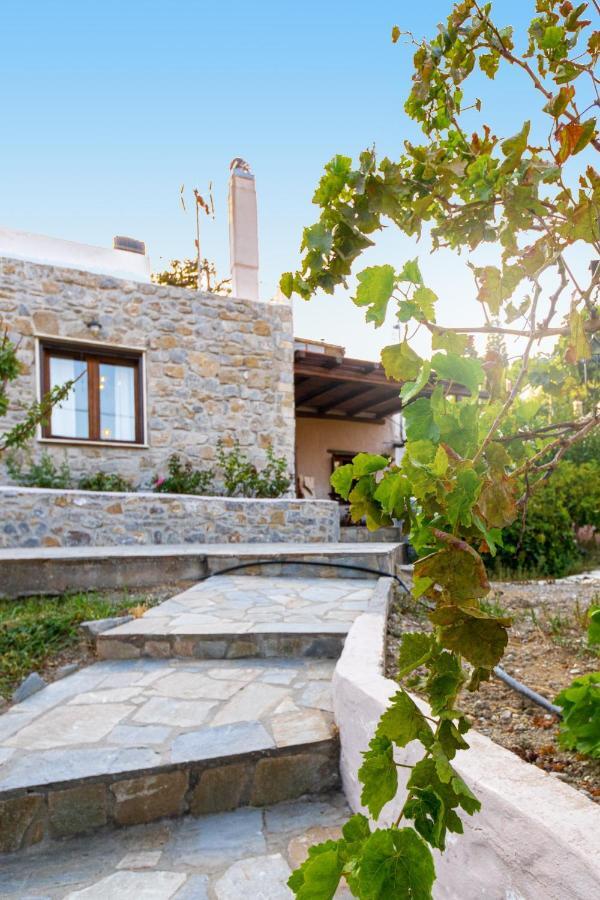 Villa Maria Stavrokhorion Екстер'єр фото